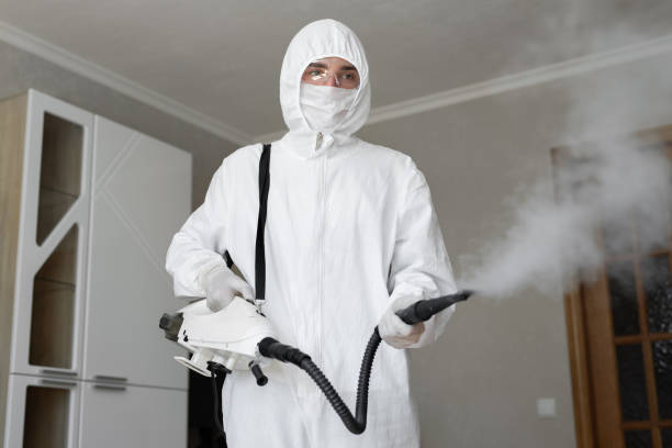 Best Industrial Mold Remediation  in Lowell, OR